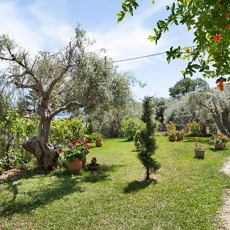 Appartement Tasoula One Bedroom Sea View Nikiana
